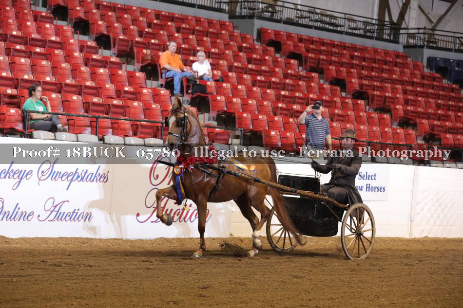 Proof 18BUCK_05780