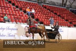 18BUCK_05780 proof