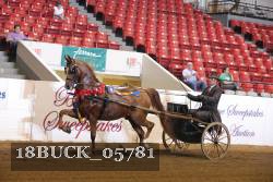 18BUCK_05781 proof