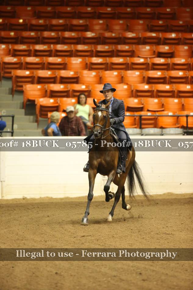 Proof 18BUCK_05785