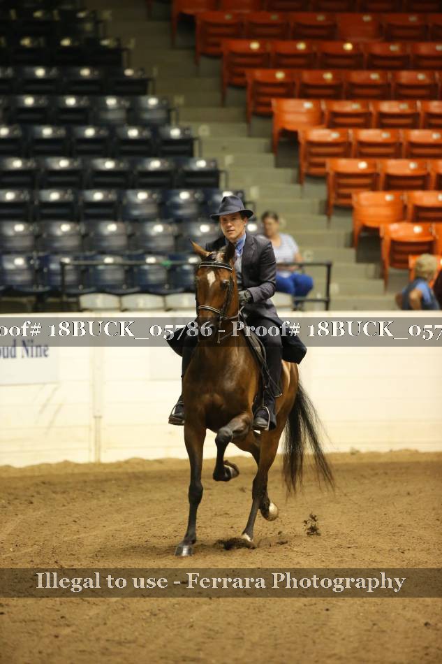 Proof 18BUCK_05786
