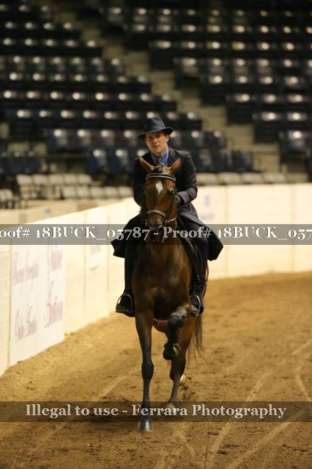 Proof 18BUCK_05787