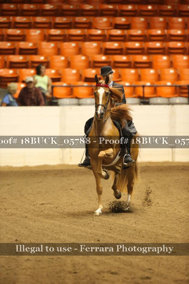 Proof 18BUCK_05788