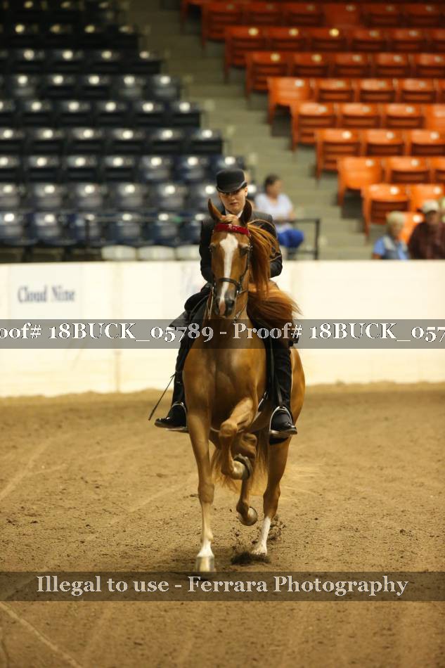 Proof 18BUCK_05789