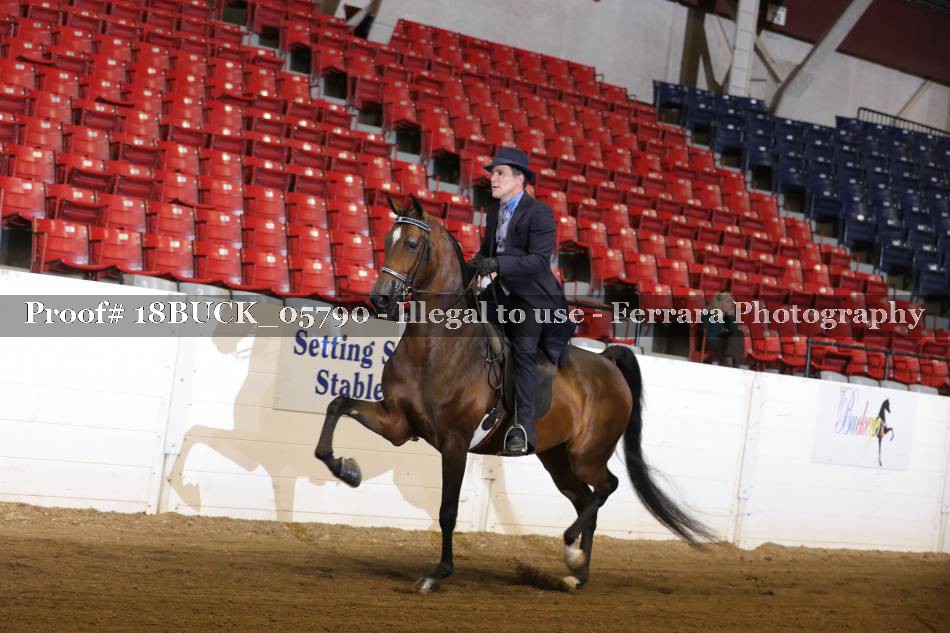Proof 18BUCK_05790
