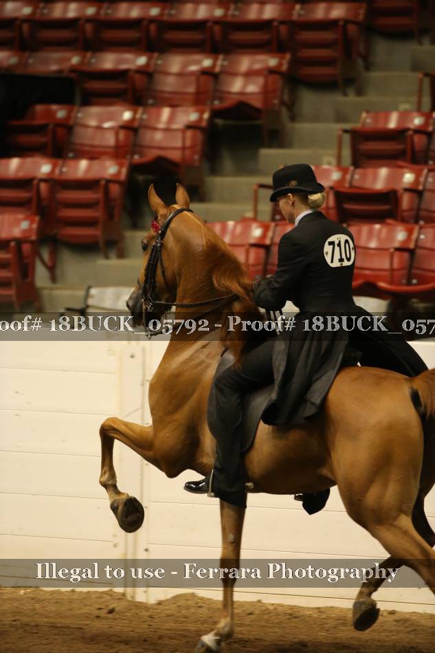 Proof 18BUCK_05792