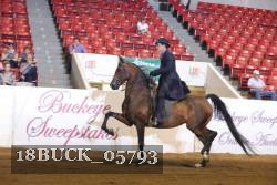 18BUCK_05793 proof
