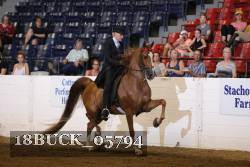 18BUCK_05794 proof