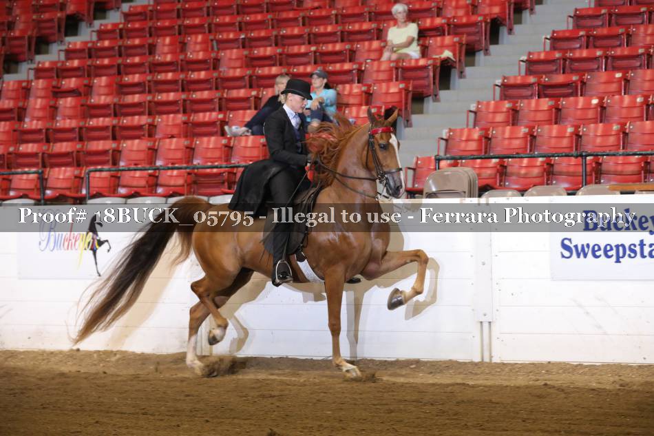 Proof 18BUCK_05795