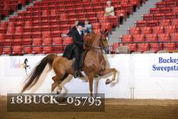 18BUCK_05795 proof