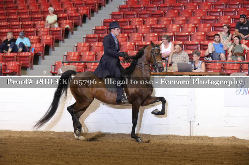 Proof 18BUCK_05796