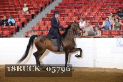 18BUCK_05796 proof