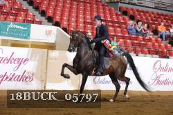 18BUCK_05797 proof