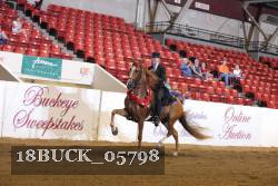 18BUCK_05798 proof