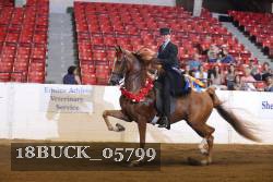 18BUCK_05799 proof