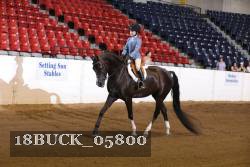 18BUCK_05800 proof