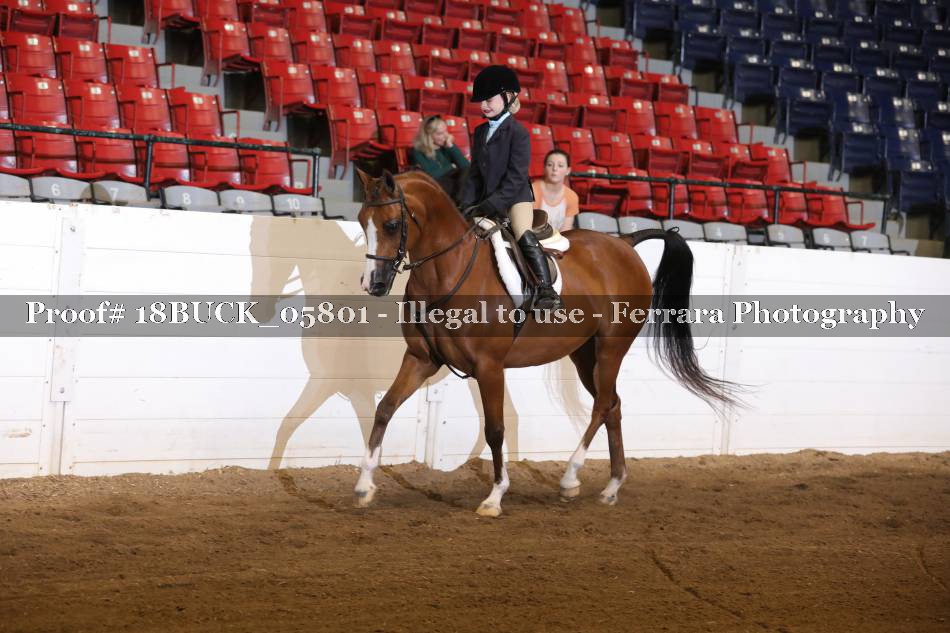 Proof 18BUCK_05801