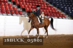 18BUCK_05801 proof