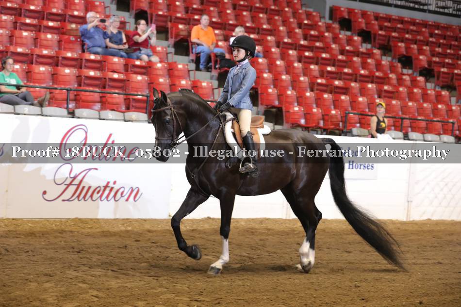 Proof 18BUCK_05802