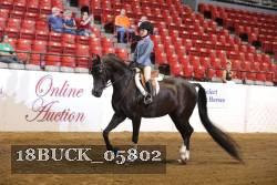 18BUCK_05802 proof