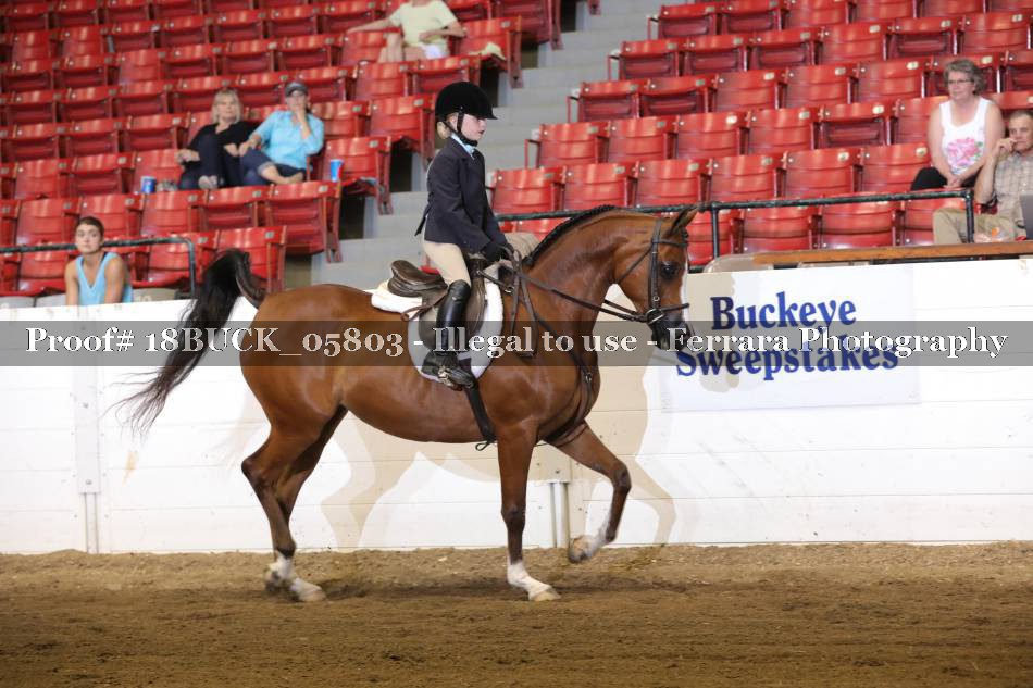 Proof 18BUCK_05803