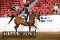 18BUCK_05803 proof
