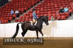 18BUCK_05804 proof