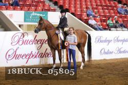 18BUCK_05805 proof