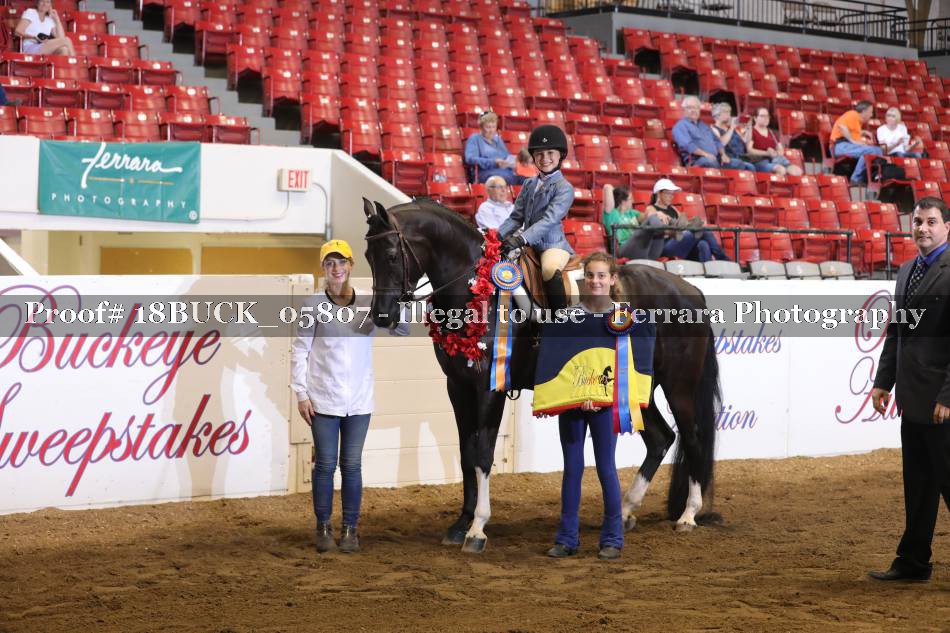 Proof 18BUCK_05807