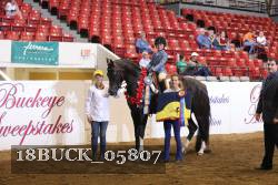 18BUCK_05807 proof