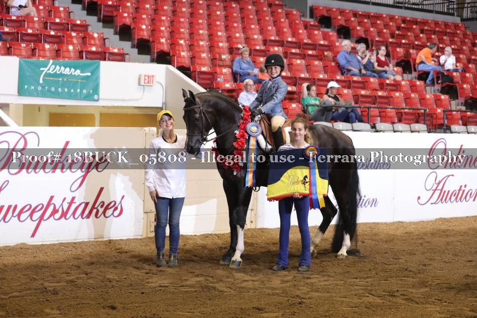Proof 18BUCK_05808