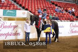 18BUCK_05808 proof