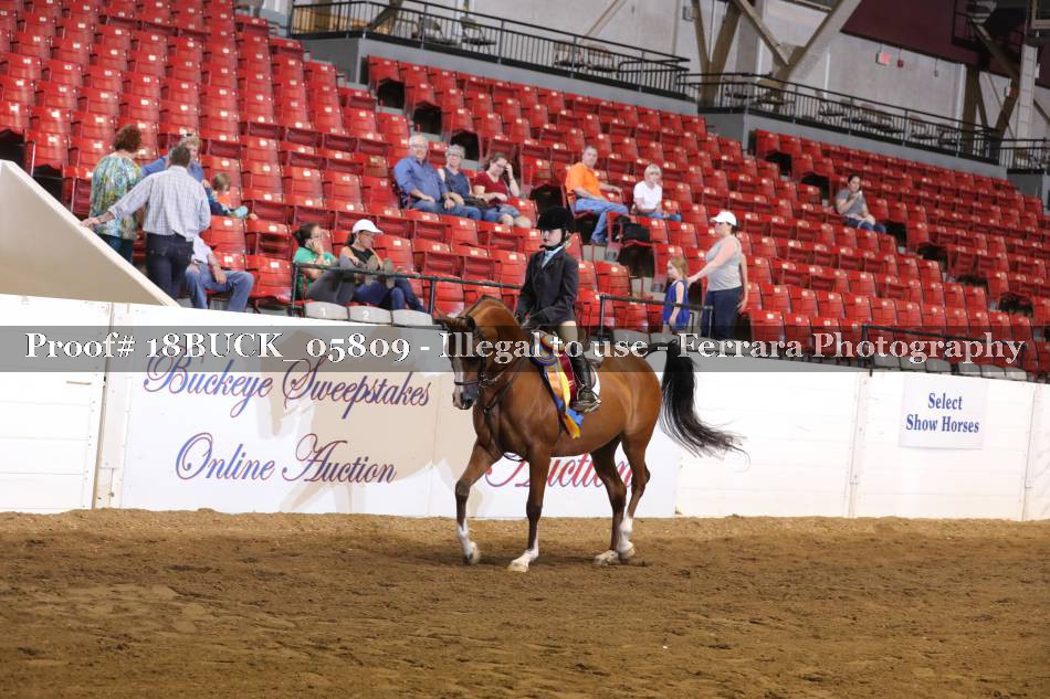 Proof 18BUCK_05809