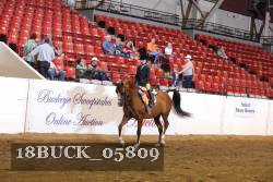 18BUCK_05809 proof