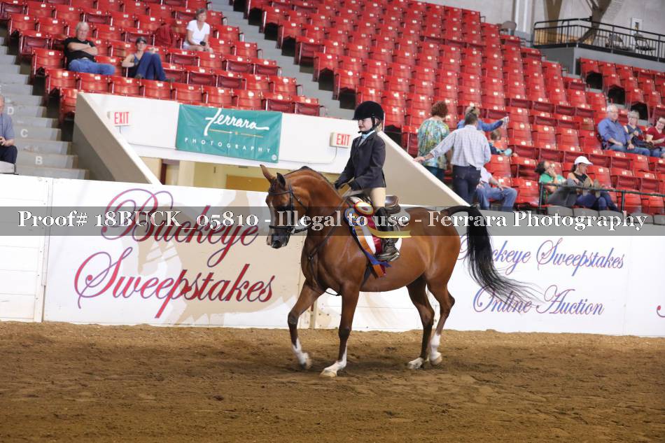 Proof 18BUCK_05810