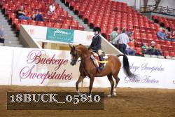 18BUCK_05810 proof