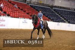 18BUCK_05811 proof