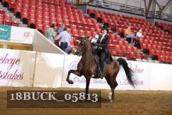 18BUCK_05813 proof