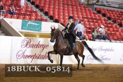 18BUCK_05814 proof