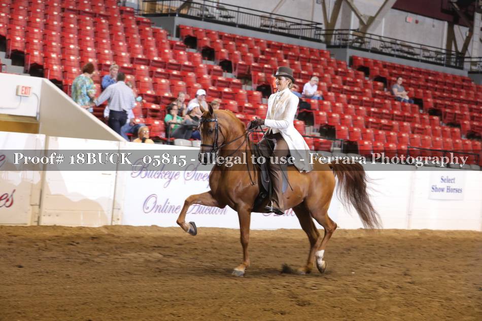 Proof 18BUCK_05815