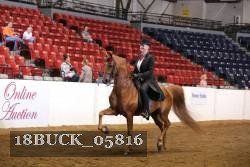 18BUCK_05816 proof