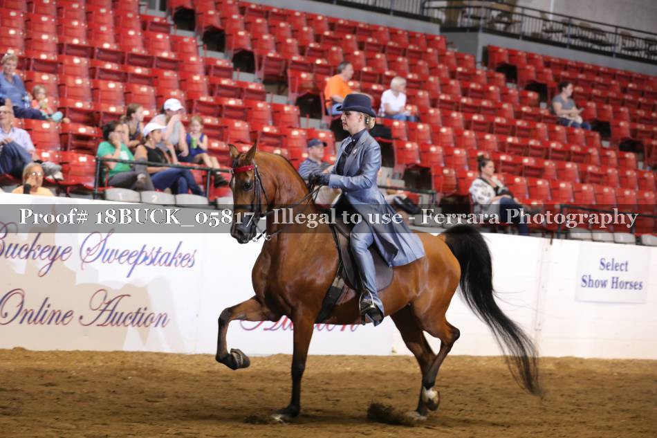 Proof 18BUCK_05817