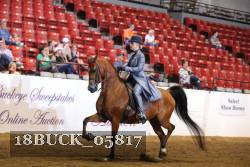 18BUCK_05817 proof