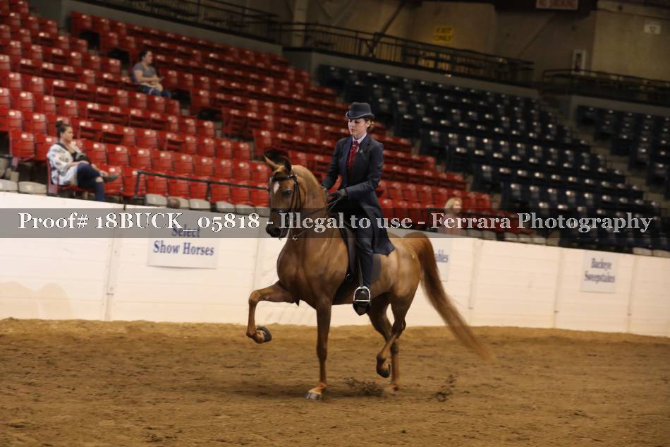 Proof 18BUCK_05818