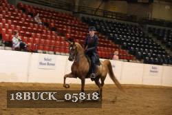 18BUCK_05818 proof