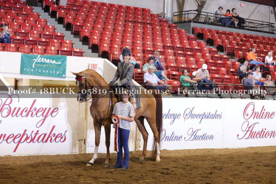 Proof 18BUCK_05819