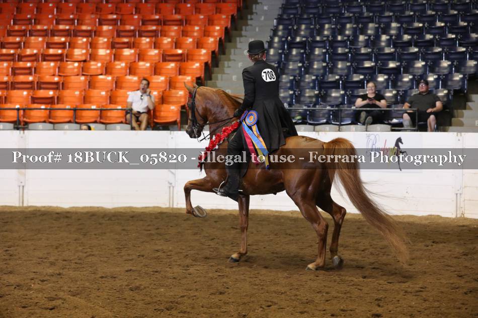 Proof 18BUCK_05820