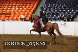18BUCK_05820 proof