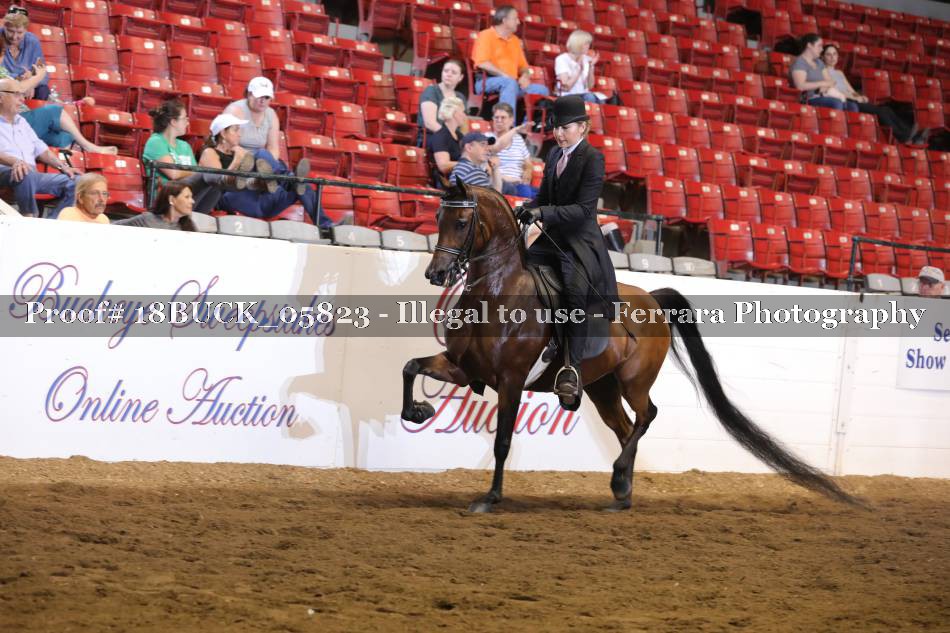 Proof 18BUCK_05823