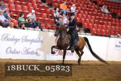 18BUCK_05823 proof